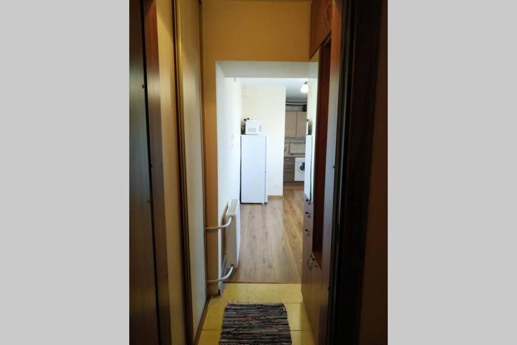 Amazing View Central Studio Apartment VNO Esterno foto