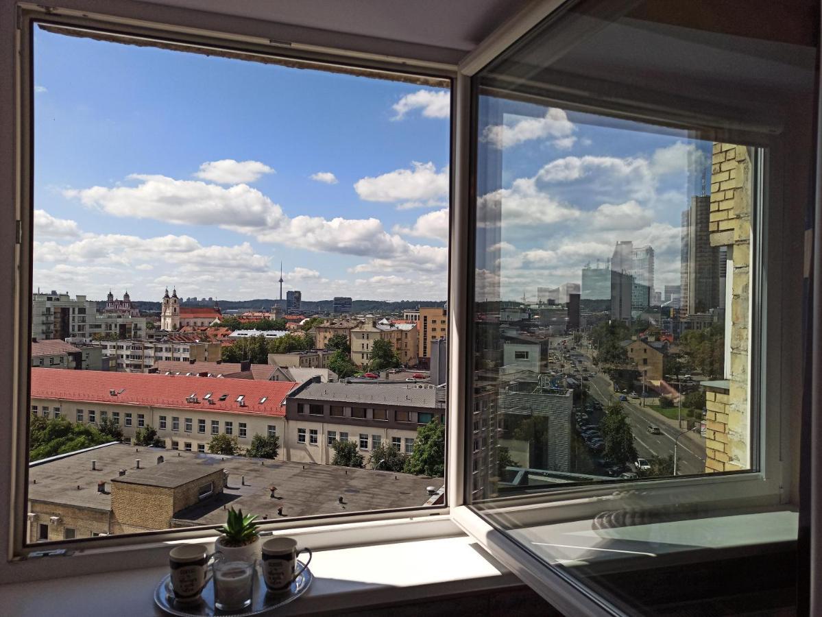 Amazing View Central Studio Apartment VNO Esterno foto